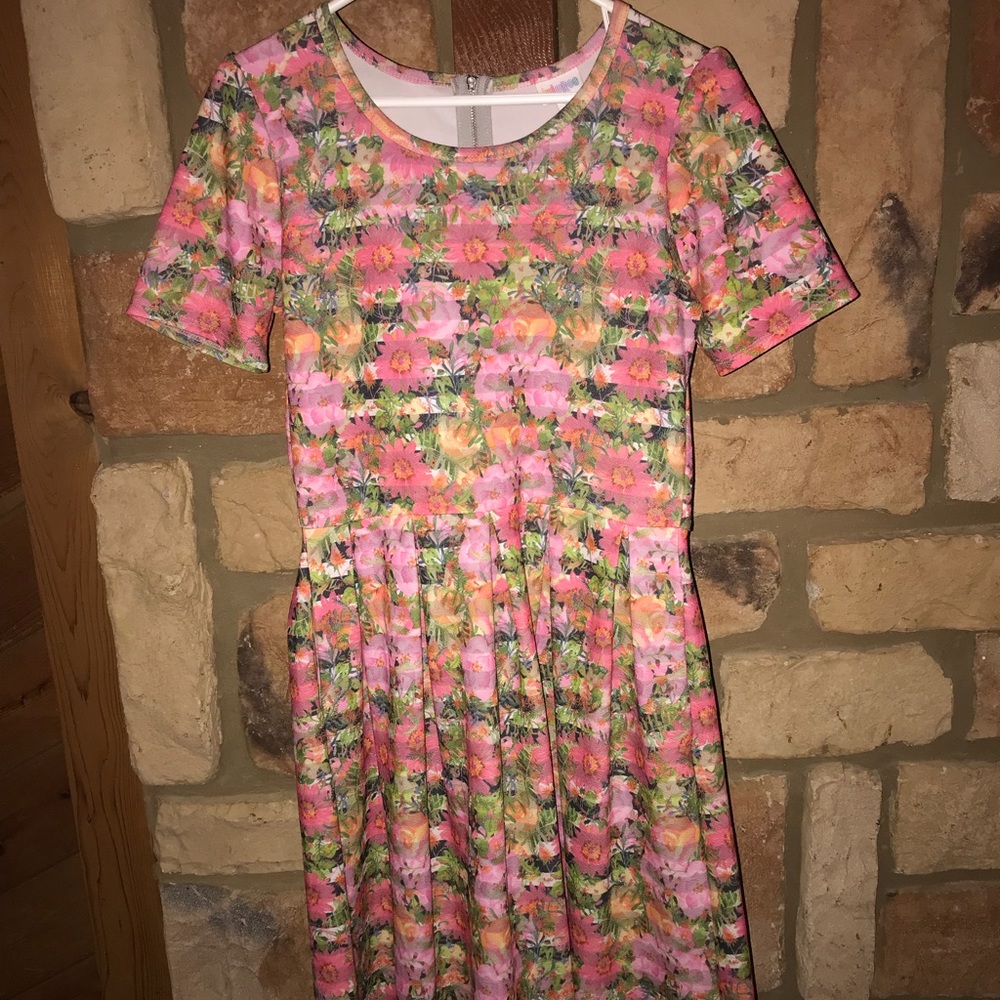 Lularoe Amelia size L